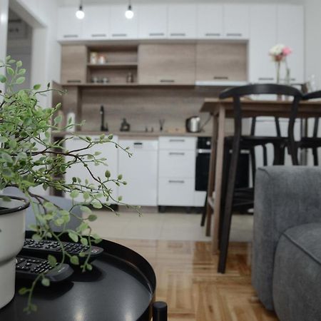 Apartment Dobraya Grey Novi Sad Luaran gambar