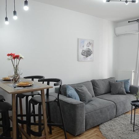 Apartment Dobraya Grey Novi Sad Luaran gambar