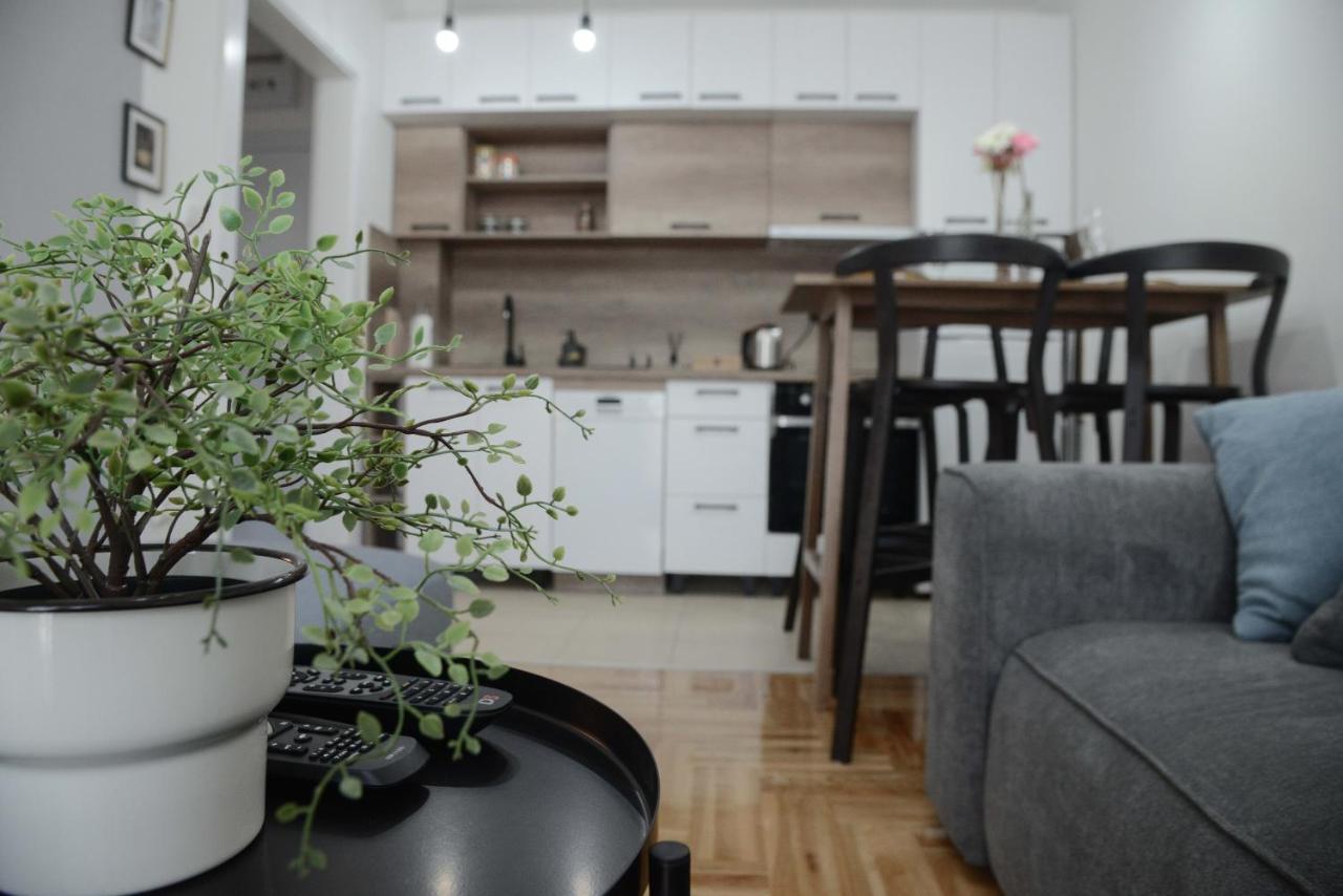 Apartment Dobraya Grey Novi Sad Luaran gambar