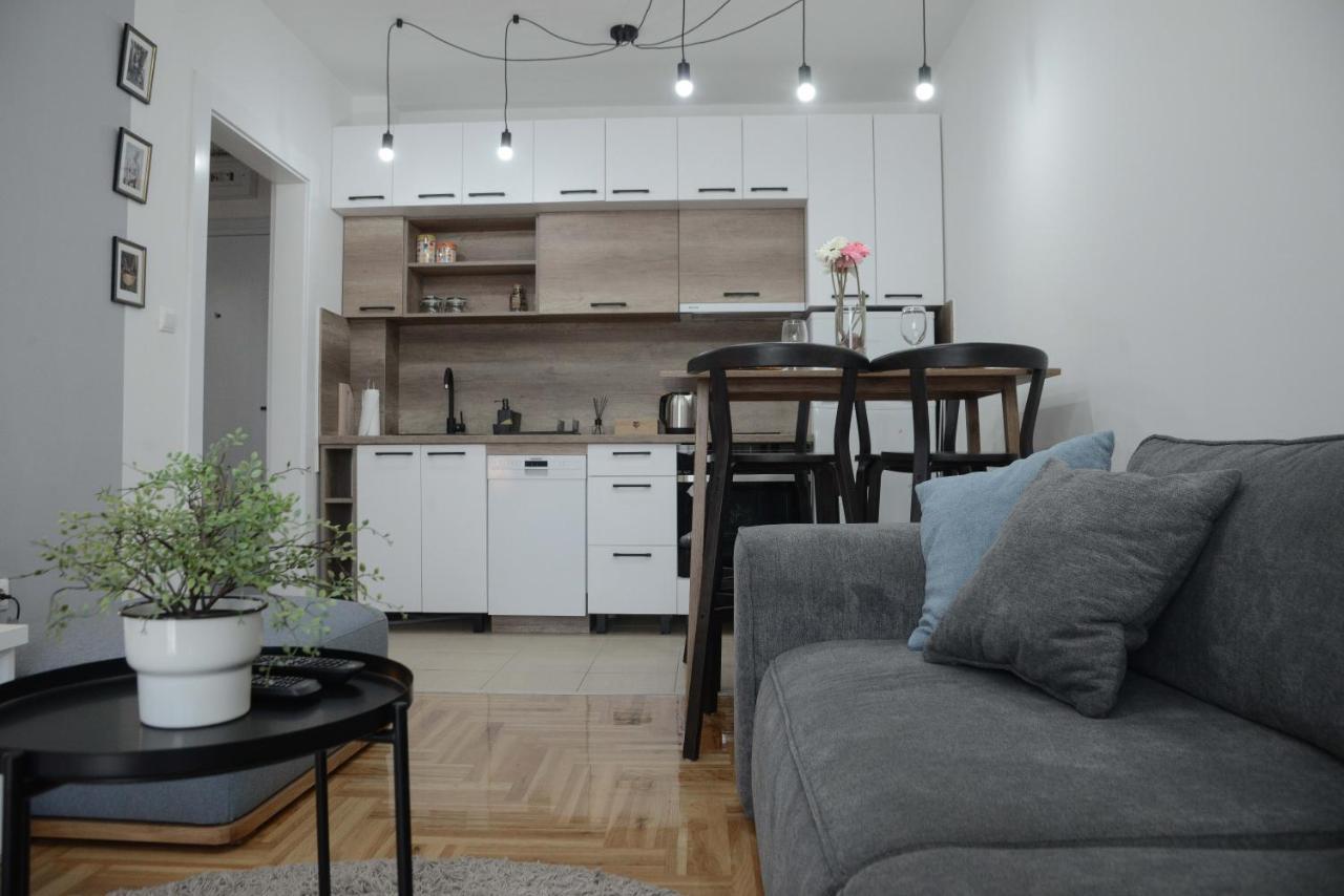 Apartment Dobraya Grey Novi Sad Luaran gambar